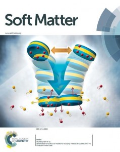 Soft Matter Cover Photo. Volume 10; Number 28; July 2014